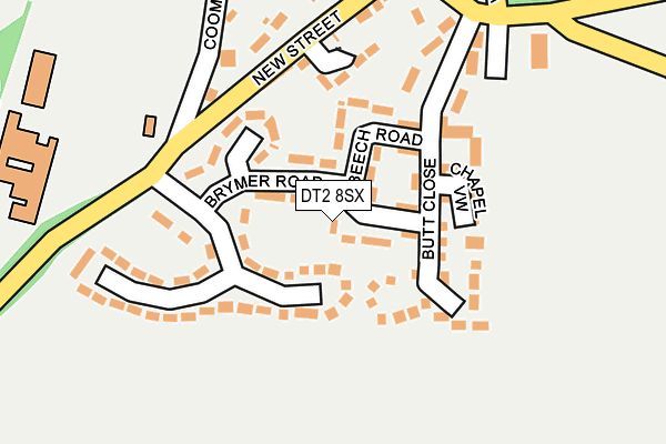 DT2 8SX map - OS OpenMap – Local (Ordnance Survey)