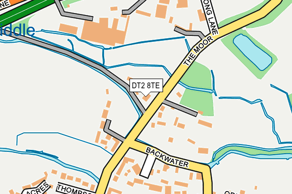 DT2 8TE map - OS OpenMap – Local (Ordnance Survey)