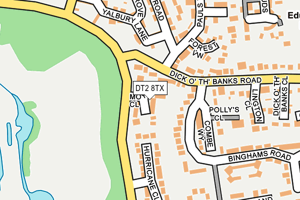 DT2 8TX map - OS OpenMap – Local (Ordnance Survey)