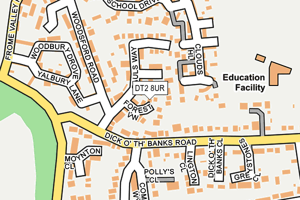 DT2 8UR map - OS OpenMap – Local (Ordnance Survey)