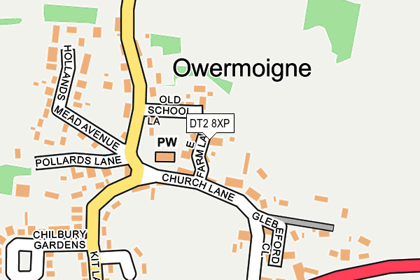 DT2 8XP map - OS OpenMap – Local (Ordnance Survey)