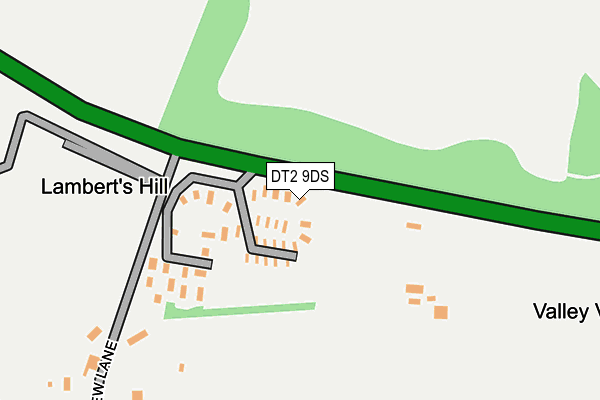 DT2 9DS map - OS OpenMap – Local (Ordnance Survey)