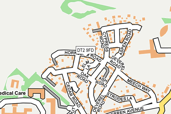 DT2 9FD map - OS OpenMap – Local (Ordnance Survey)