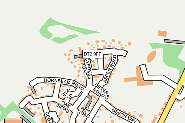 DT2 9FF map - OS OpenMap – Local (Ordnance Survey)