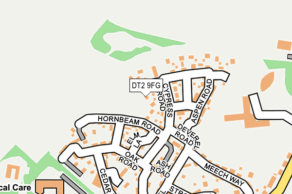 DT2 9FG map - OS OpenMap – Local (Ordnance Survey)