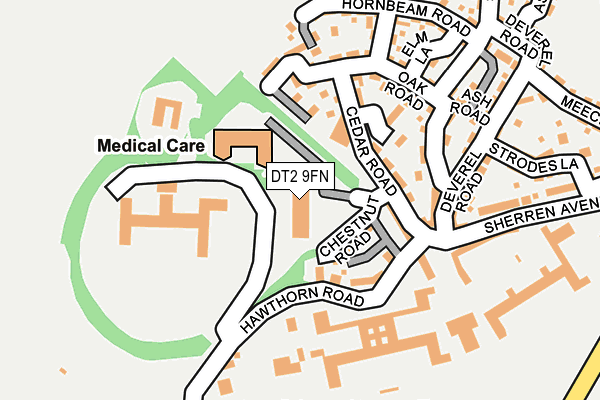 DT2 9FN map - OS OpenMap – Local (Ordnance Survey)
