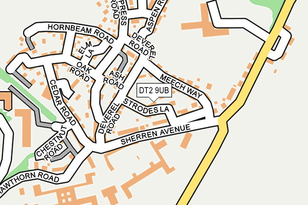 DT2 9UB map - OS OpenMap – Local (Ordnance Survey)