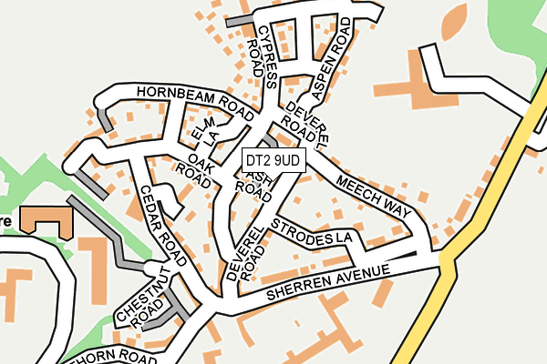 DT2 9UD map - OS OpenMap – Local (Ordnance Survey)