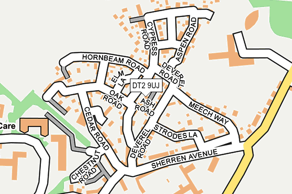 DT2 9UJ map - OS OpenMap – Local (Ordnance Survey)