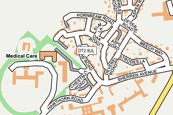 DT2 9UL map - OS OpenMap – Local (Ordnance Survey)
