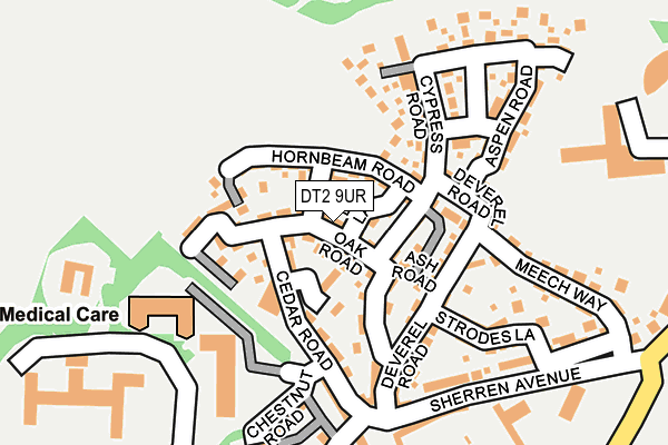 DT2 9UR map - OS OpenMap – Local (Ordnance Survey)