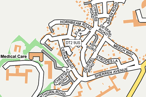 DT2 9US map - OS OpenMap – Local (Ordnance Survey)