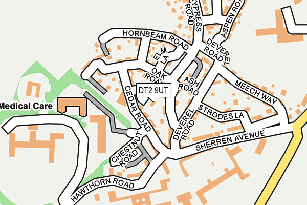 DT2 9UT map - OS OpenMap – Local (Ordnance Survey)