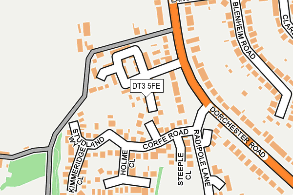 DT3 5FE map - OS OpenMap – Local (Ordnance Survey)