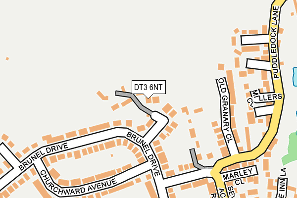 DT3 6NT map - OS OpenMap – Local (Ordnance Survey)