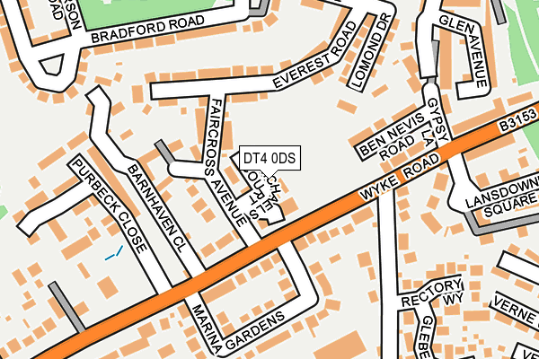 DT4 0DS map - OS OpenMap – Local (Ordnance Survey)