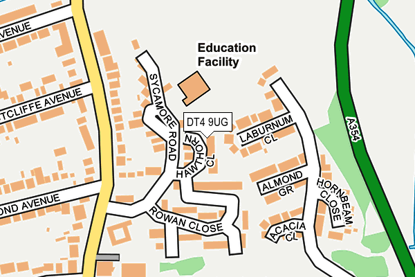 DT4 9UG map - OS OpenMap – Local (Ordnance Survey)