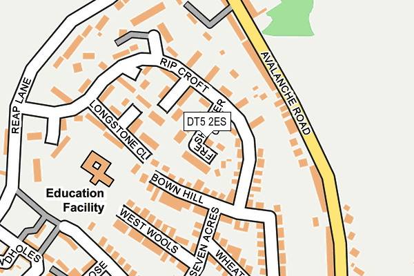 DT5 2ES map - OS OpenMap – Local (Ordnance Survey)