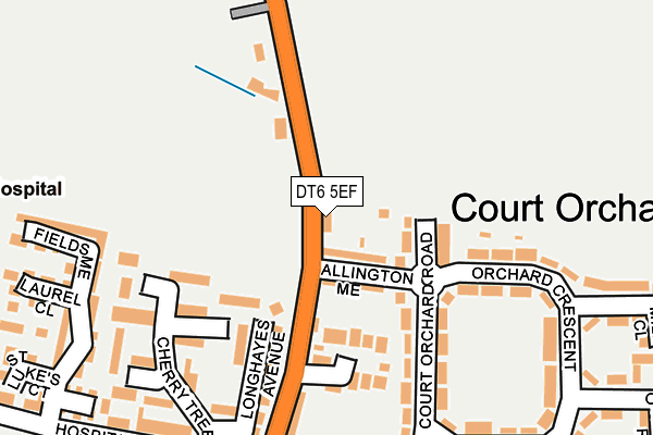 DT6 5EF map - OS OpenMap – Local (Ordnance Survey)