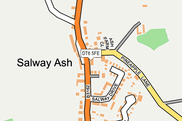 DT6 5FE map - OS OpenMap – Local (Ordnance Survey)