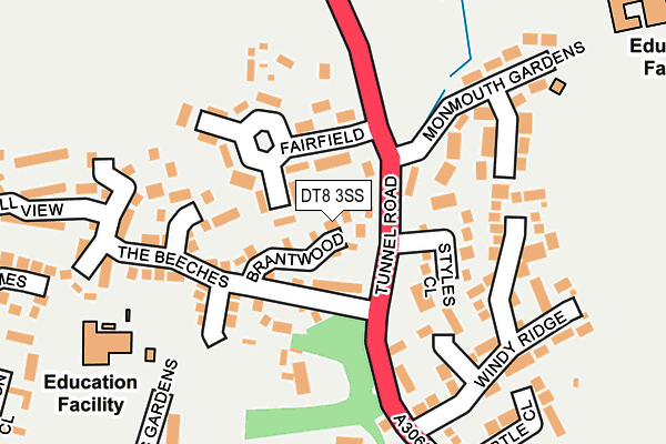 DT8 3SS map - OS OpenMap – Local (Ordnance Survey)