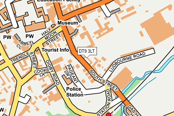 DT9 3LT map - OS OpenMap – Local (Ordnance Survey)