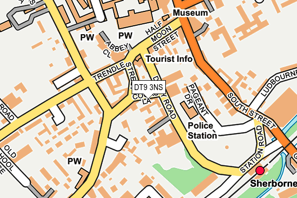 DT9 3NS map - OS OpenMap – Local (Ordnance Survey)