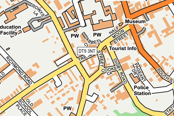 DT9 3NT map - OS OpenMap – Local (Ordnance Survey)