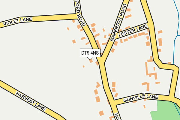 DT9 4NS map - OS OpenMap – Local (Ordnance Survey)