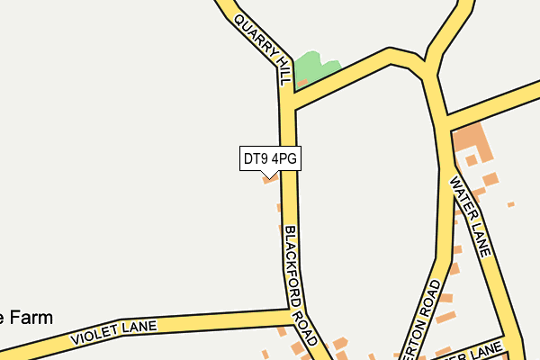 DT9 4PG map - OS OpenMap – Local (Ordnance Survey)