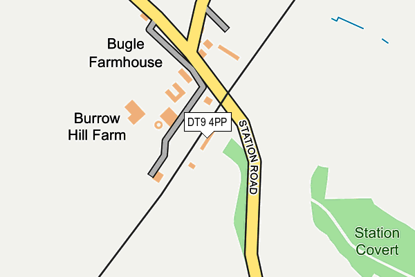 DT9 4PP map - OS OpenMap – Local (Ordnance Survey)