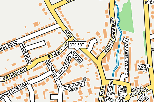 DT9 5BT map - OS OpenMap – Local (Ordnance Survey)