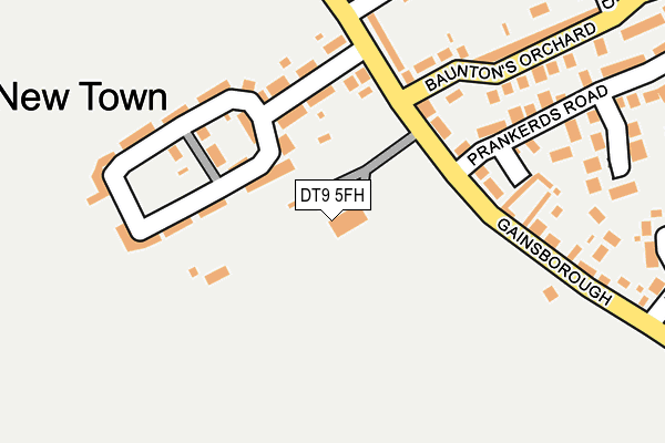 DT9 5FH map - OS OpenMap – Local (Ordnance Survey)