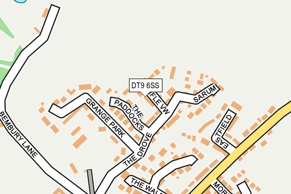 DT9 6SS map - OS OpenMap – Local (Ordnance Survey)