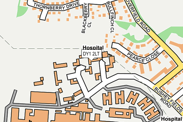 DY1 2LT map - OS OpenMap – Local (Ordnance Survey)