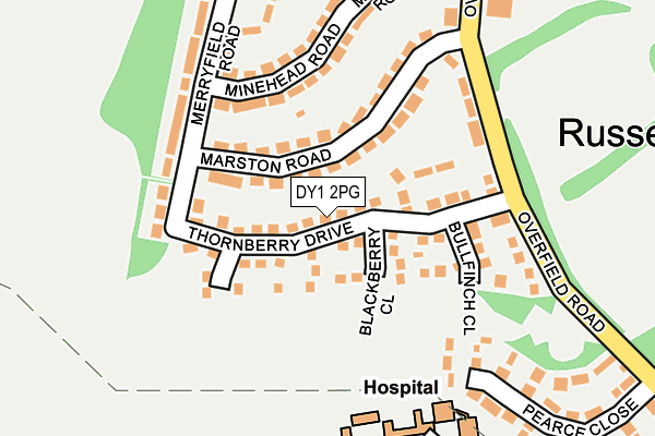 DY1 2PG map - OS OpenMap – Local (Ordnance Survey)