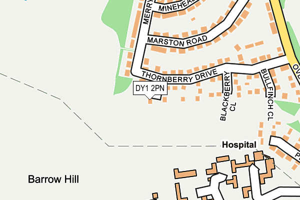 DY1 2PN map - OS OpenMap – Local (Ordnance Survey)