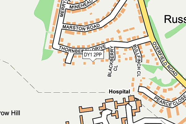 DY1 2PP map - OS OpenMap – Local (Ordnance Survey)