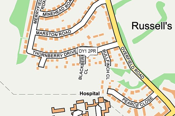 DY1 2PR map - OS OpenMap – Local (Ordnance Survey)