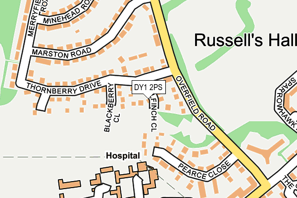 DY1 2PS map - OS OpenMap – Local (Ordnance Survey)