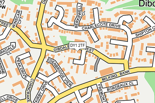 DY1 2TF map - OS OpenMap – Local (Ordnance Survey)