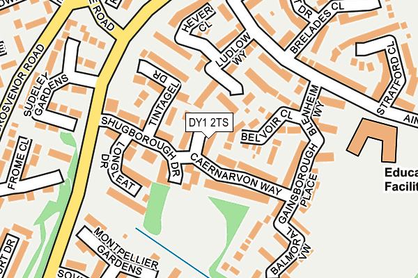 DY1 2TS map - OS OpenMap – Local (Ordnance Survey)