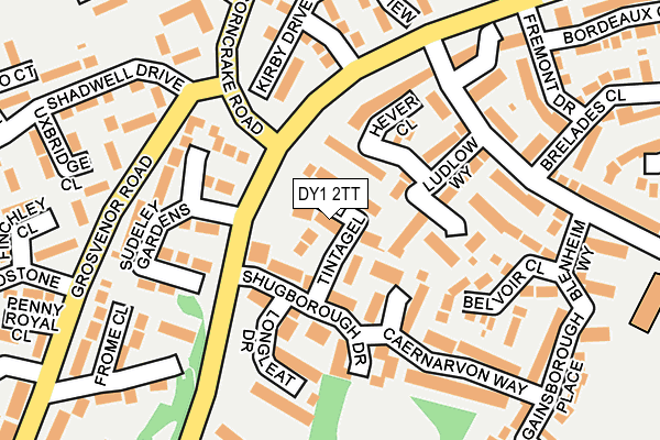 DY1 2TT map - OS OpenMap – Local (Ordnance Survey)