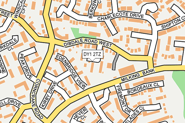 DY1 2TZ map - OS OpenMap – Local (Ordnance Survey)