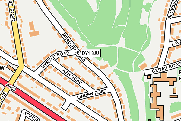 DY1 3JU map - OS OpenMap – Local (Ordnance Survey)