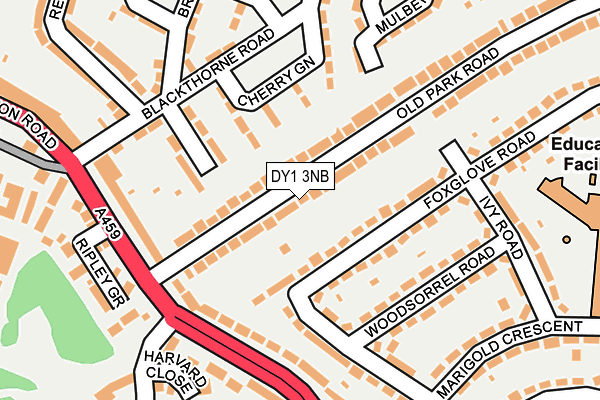 DY1 3NB map - OS OpenMap – Local (Ordnance Survey)
