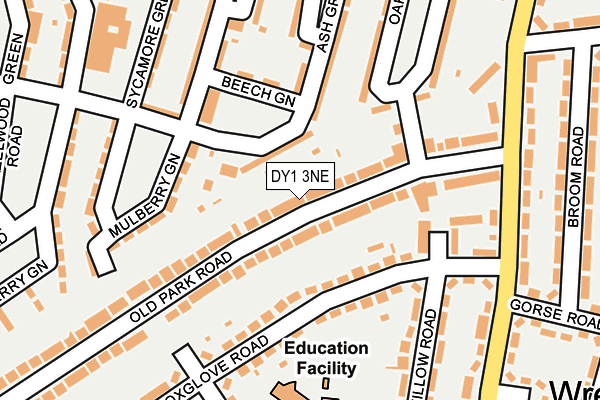 DY1 3NE map - OS OpenMap – Local (Ordnance Survey)