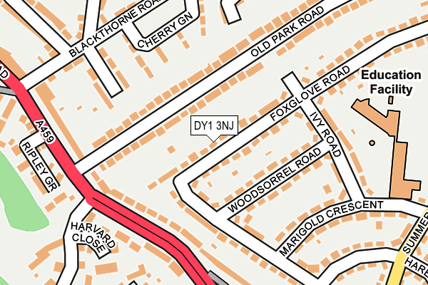 DY1 3NJ map - OS OpenMap – Local (Ordnance Survey)