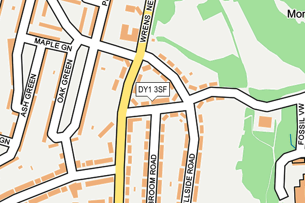 DY1 3SF map - OS OpenMap – Local (Ordnance Survey)