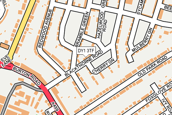 DY1 3TF map - OS OpenMap – Local (Ordnance Survey)